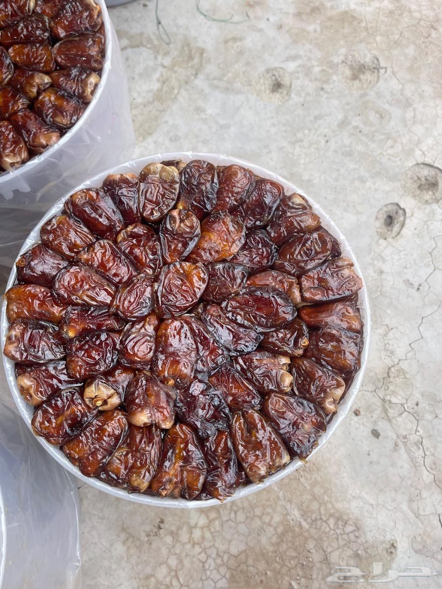 Premium Barni Dates64497551278465111