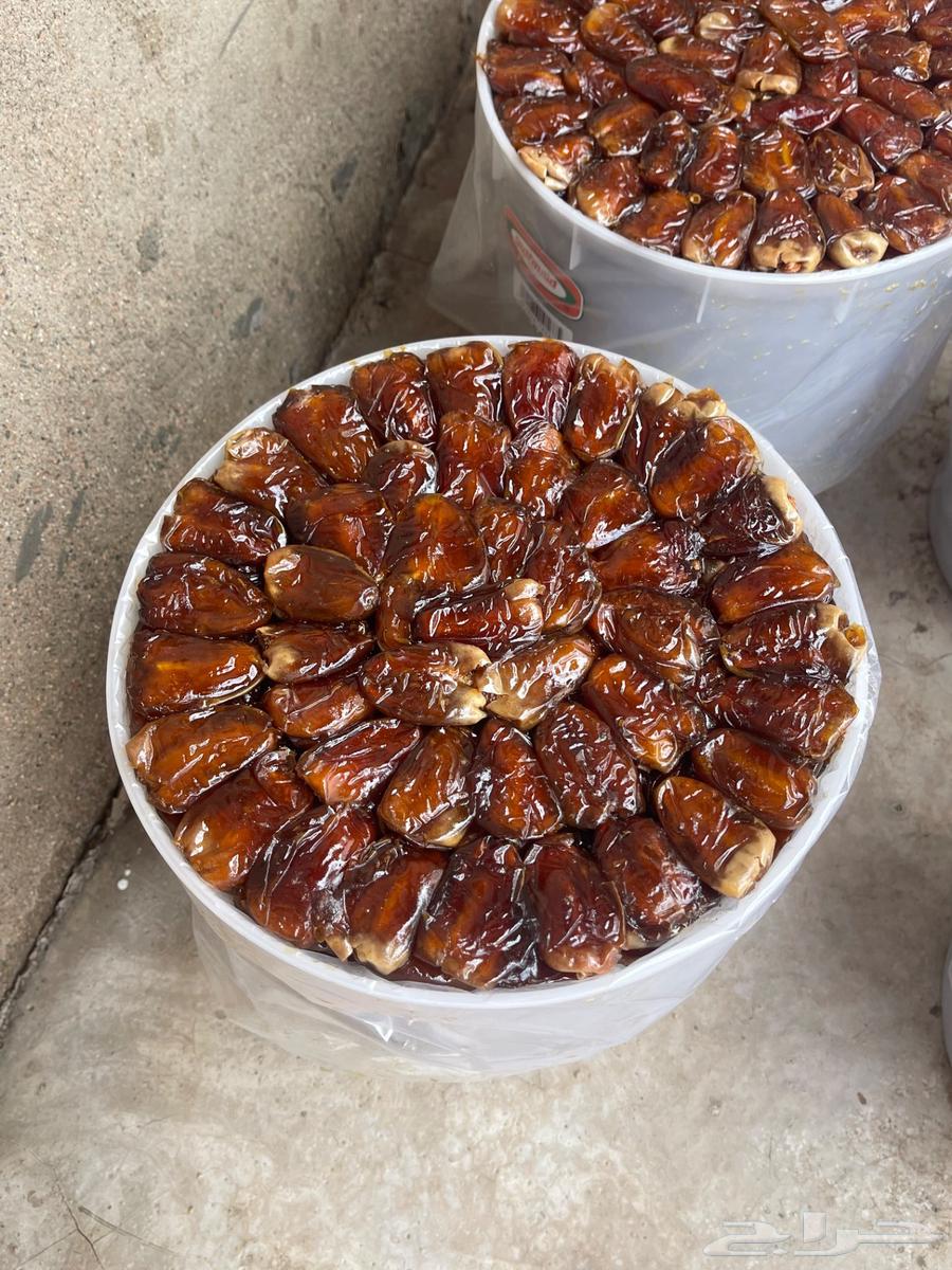 Premium Barni Dates64497551278465110