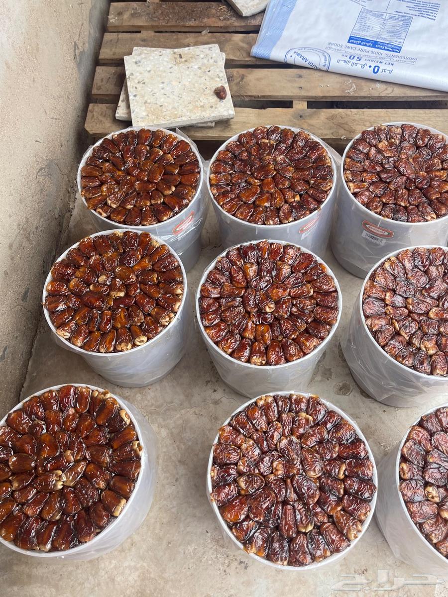 Premium Barni Dates64497551278465112