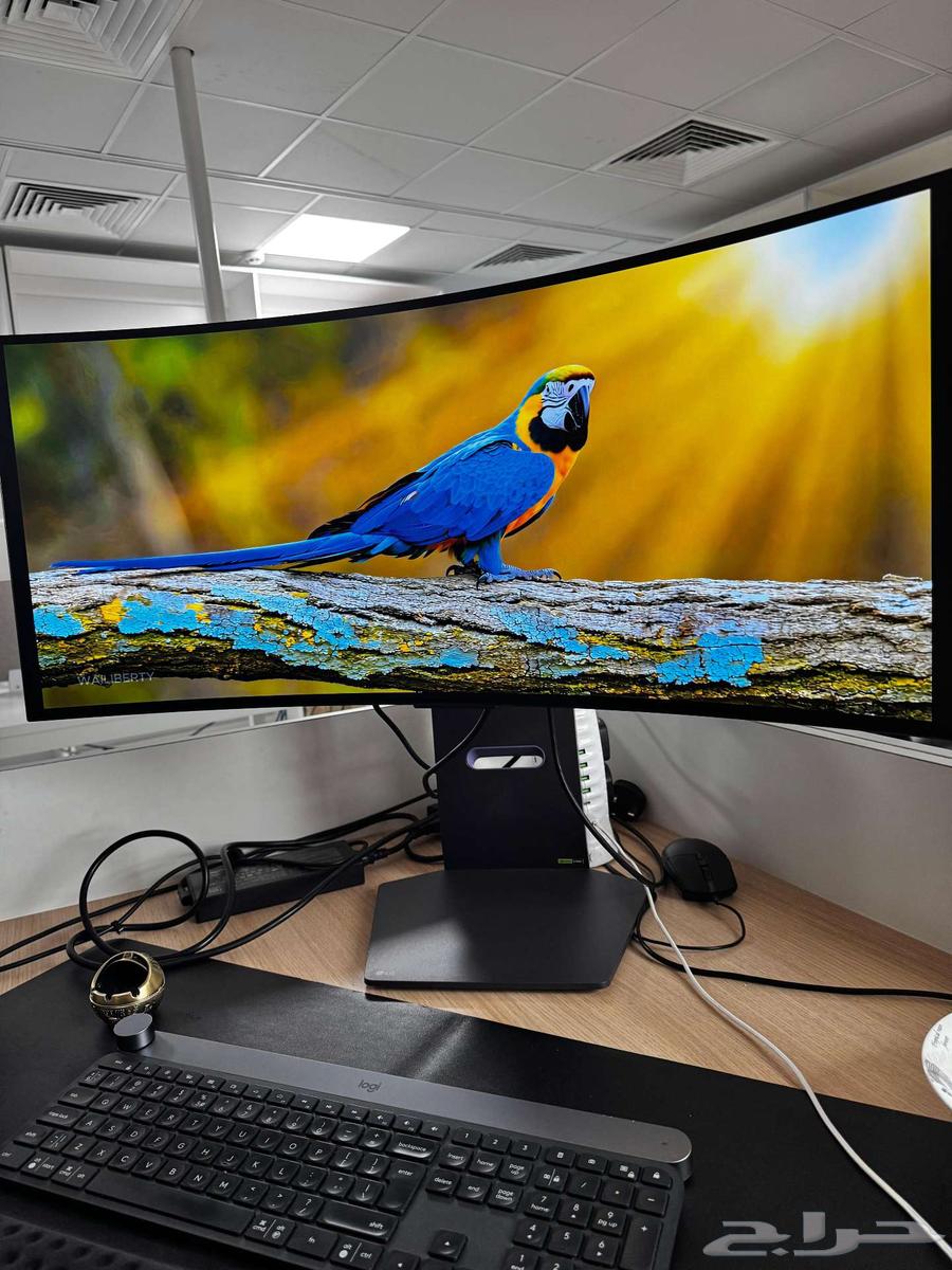 شاشة LG أوليد 4K بحجم 34 بوصة64497606601473113