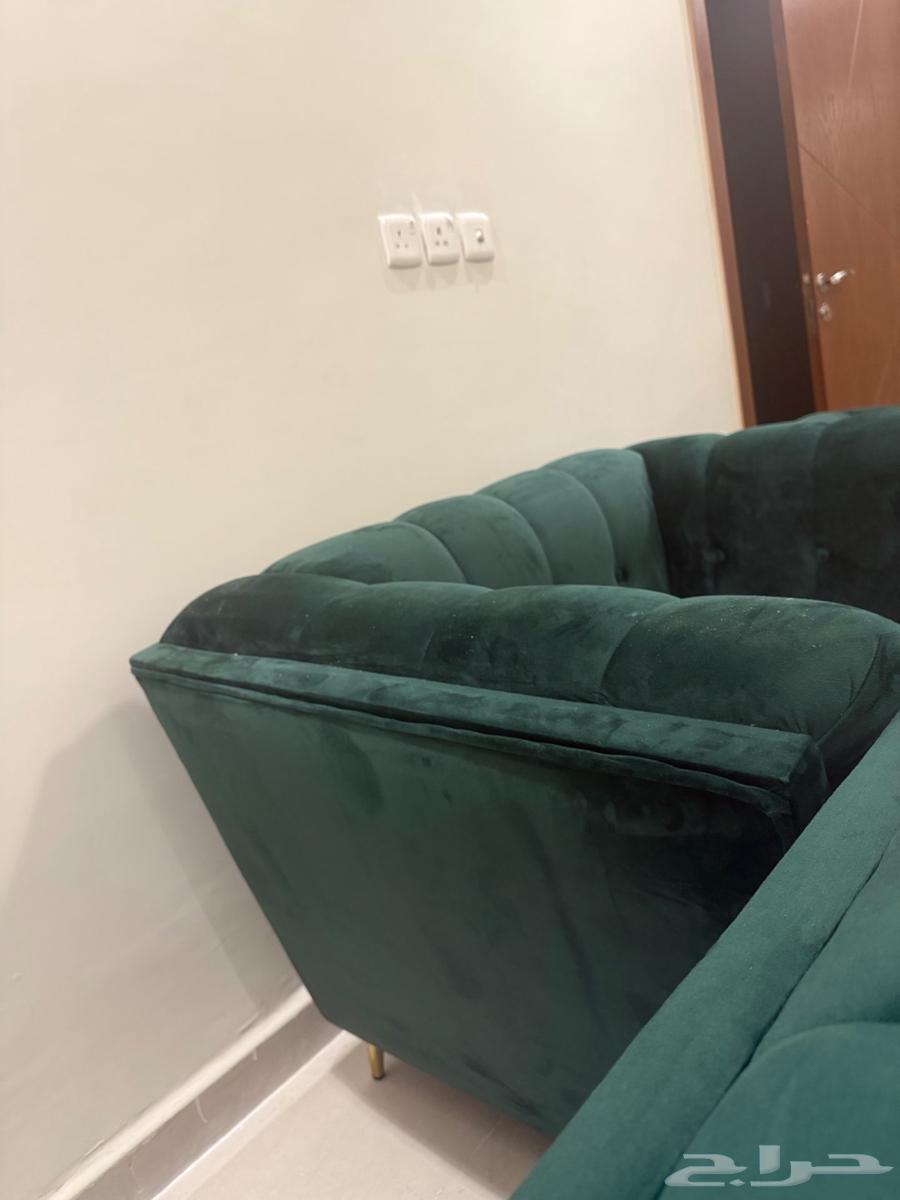 Single sofa64497869201921111