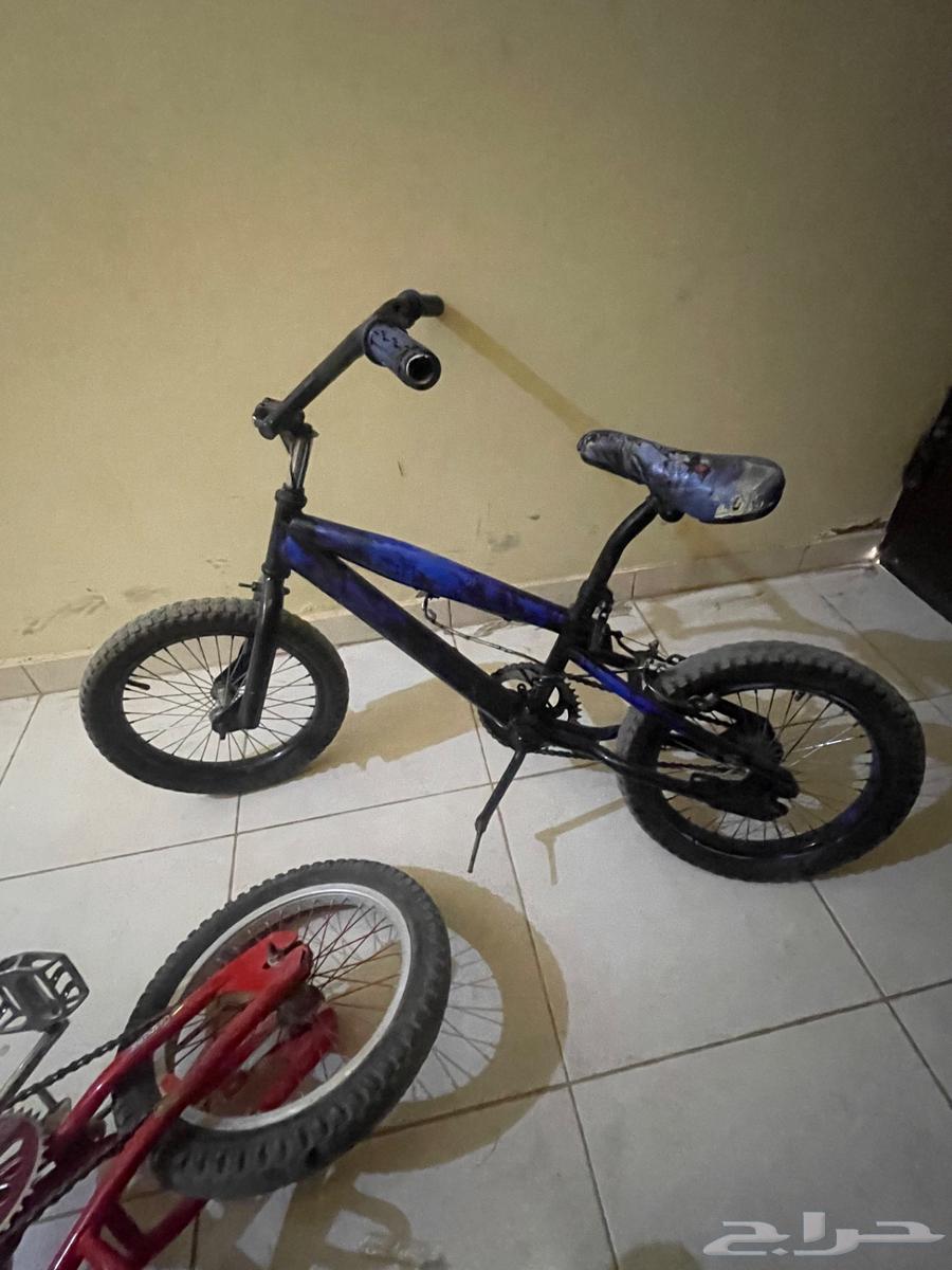 Black Cobra bicycle size 18 or 16 number 80 SAR64498536429825110