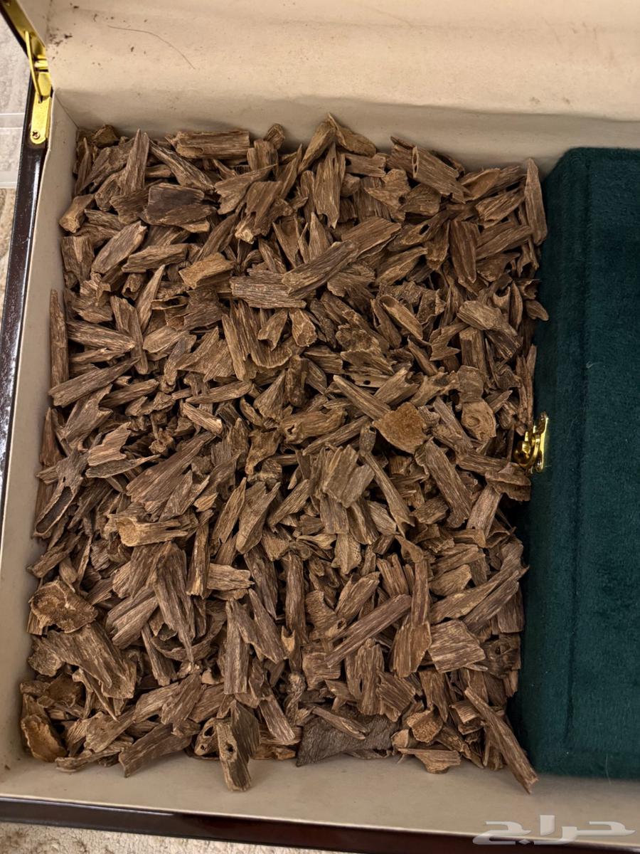 عود هندي موري وسلا طبيعي اقتصادي64498882169346110