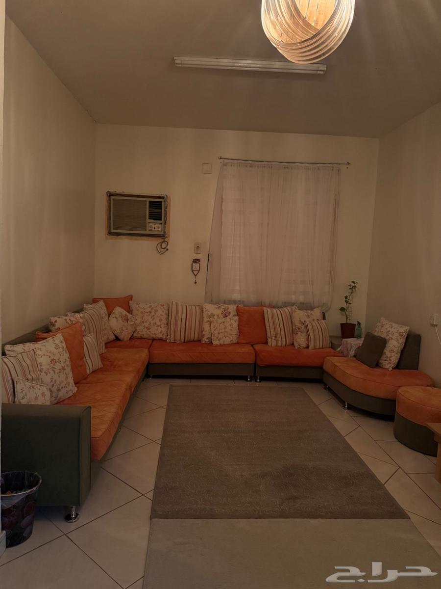 مجلس نظيف عدد 8 قطع 14 كوشن كبير 6 كوشن صغير64499076388994112