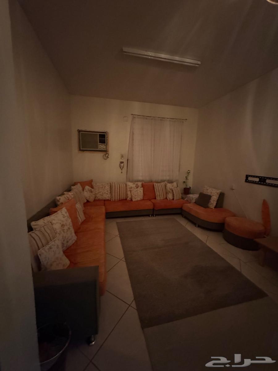 مجلس نظيف عدد 8 قطع 14 كوشن كبير 6 كوشن صغير64499076388994111