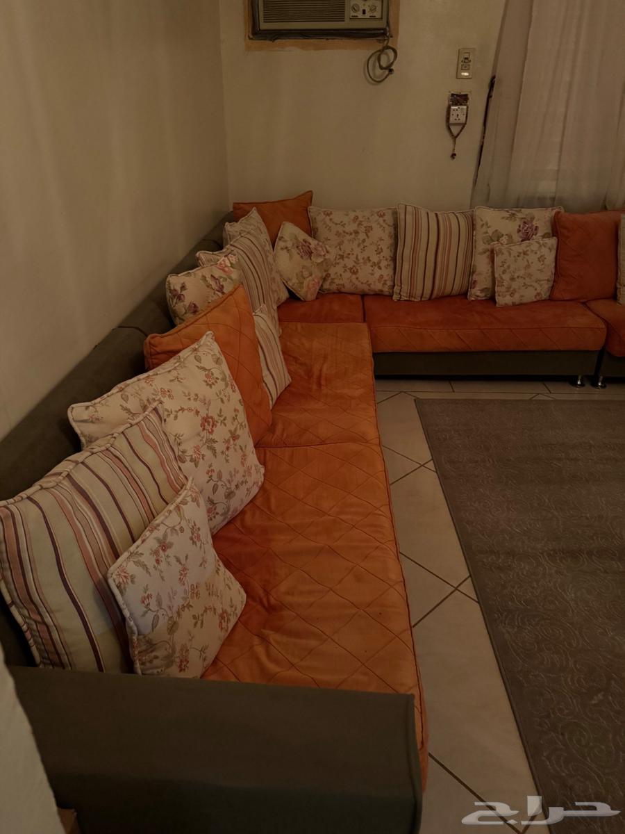 مجلس نظيف عدد 8 قطع 14 كوشن كبير 6 كوشن صغير64499076388994113