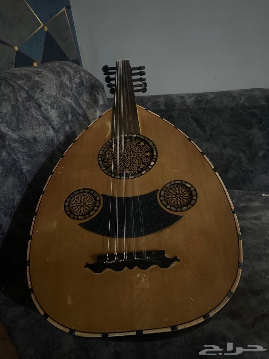 عود مصري للبيع64499131957123110