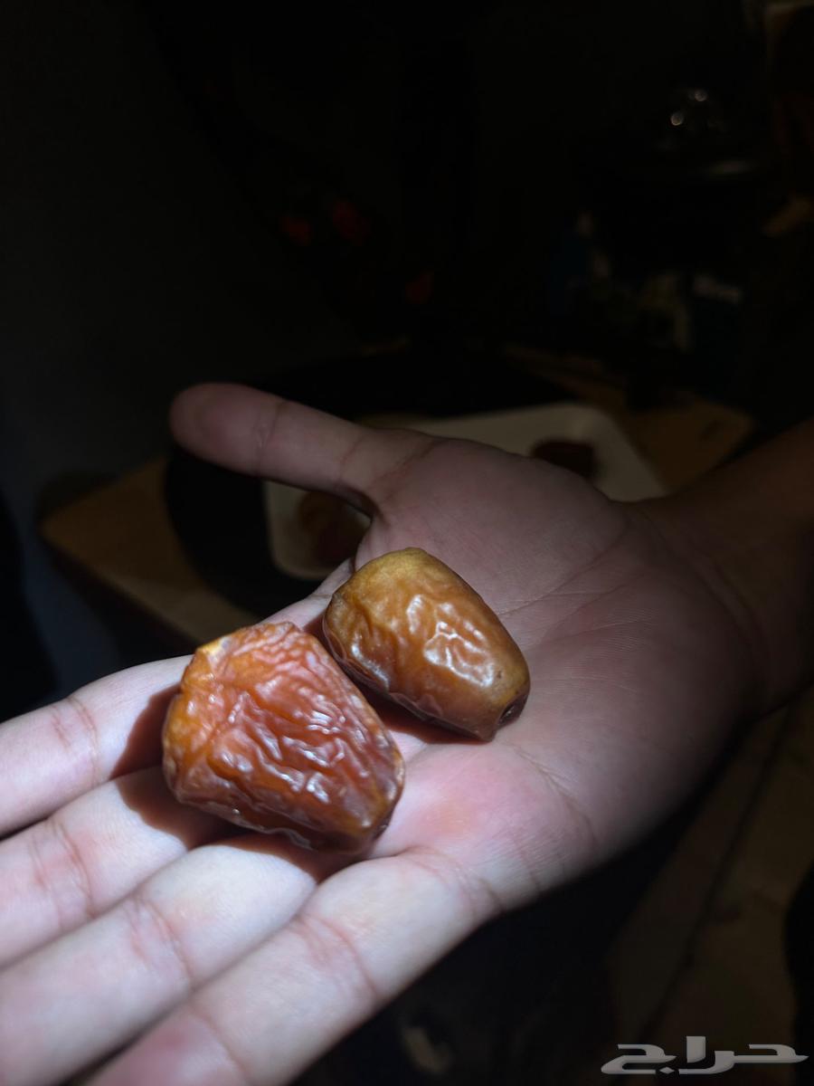 Premium Dates from Al-Qassim Farms64501257331202111