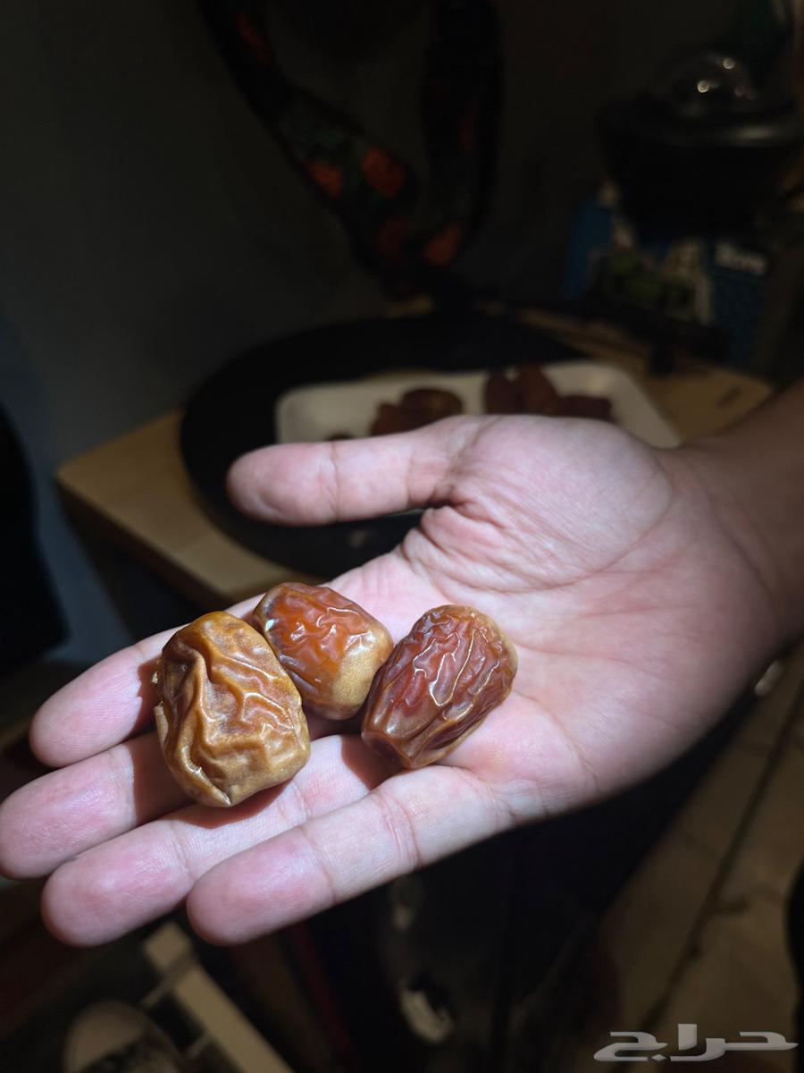 Premium Dates from Al-Qassim Farms64501257331202114