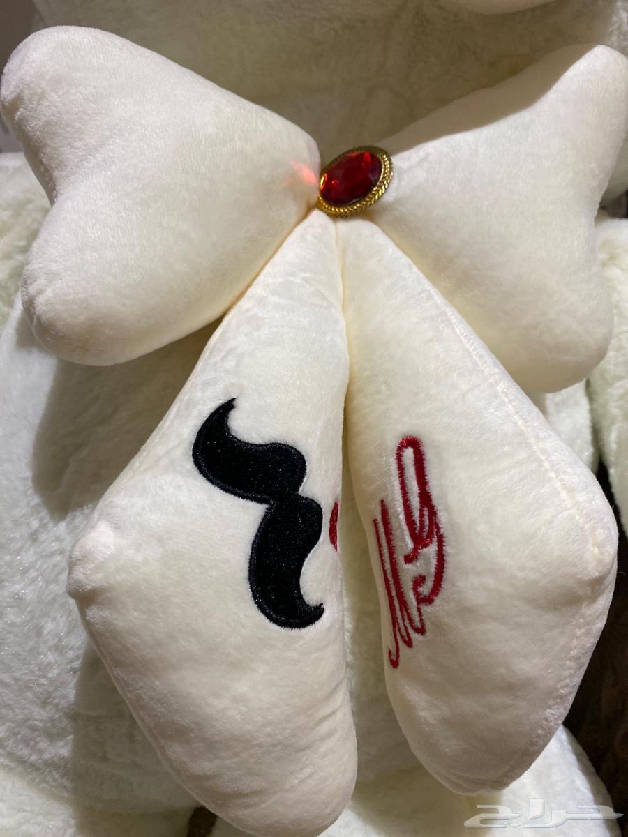 دب كبير جديد للبيع64501326356481111