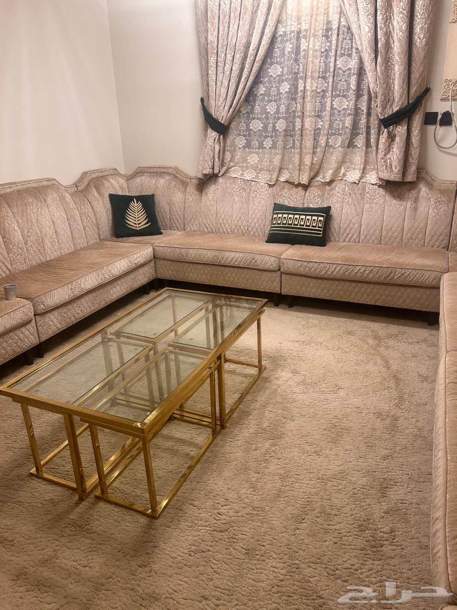 Sofa64501788983938111