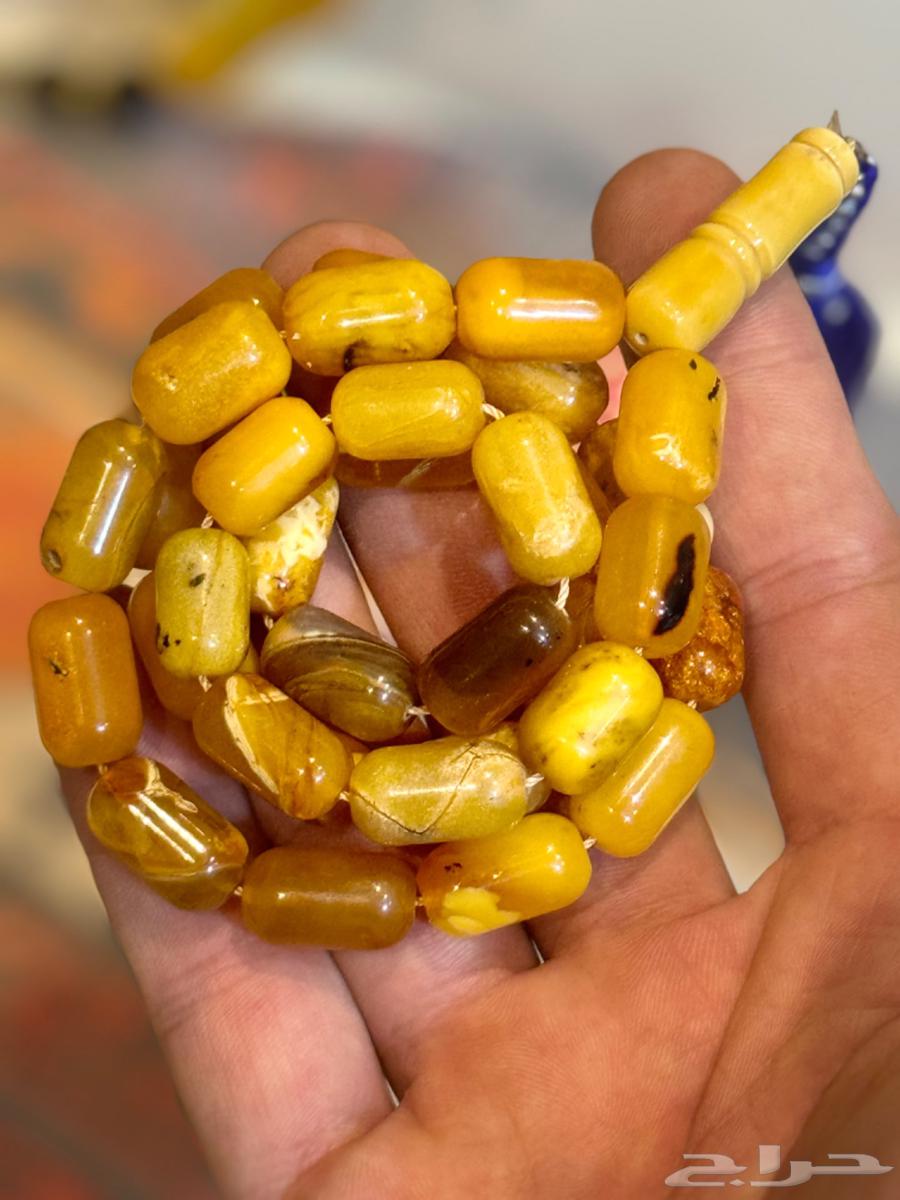 سبحة كهرمان بولندي64503377065219110