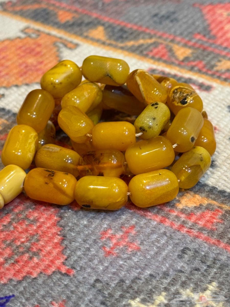 سبحة كهرمان بولندي64503377065219113