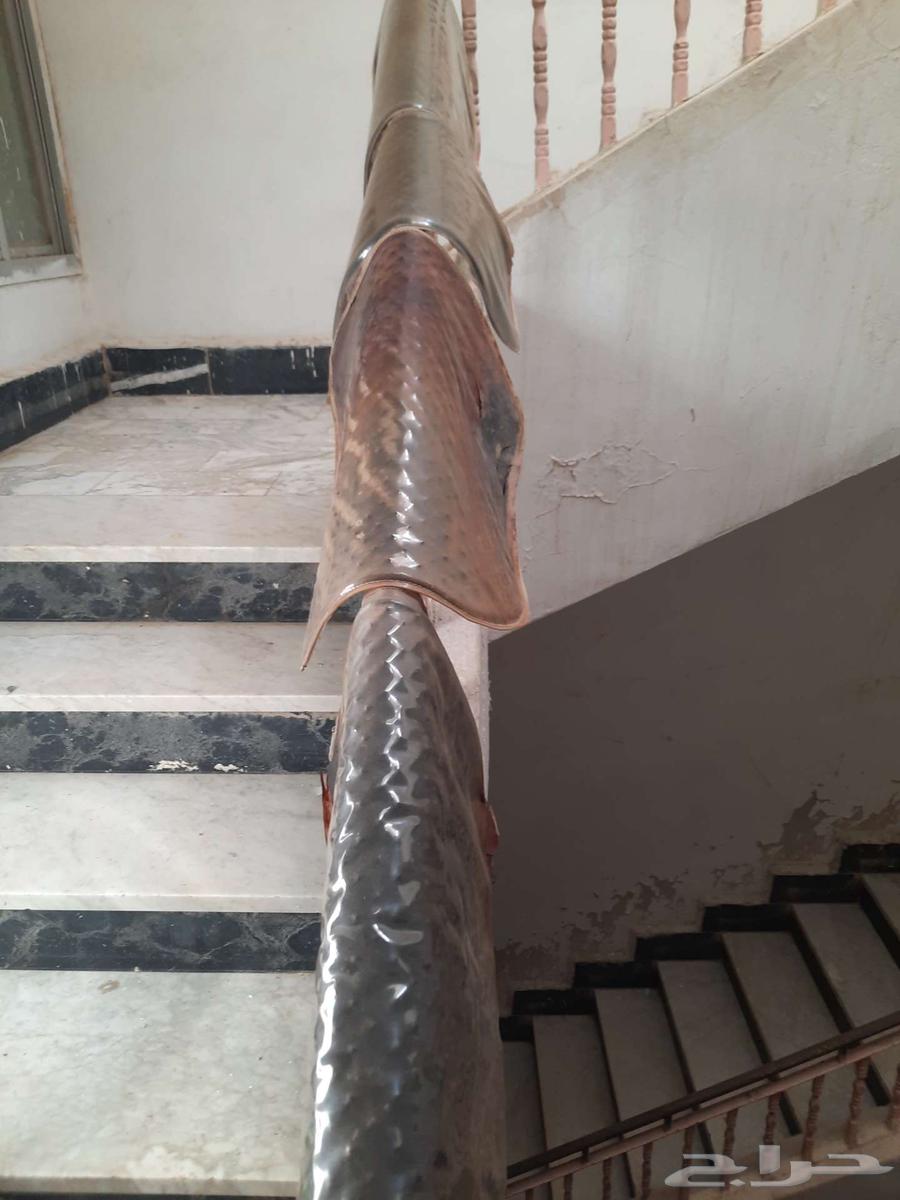 مساند رجل وانيت للبيع64505937591683110