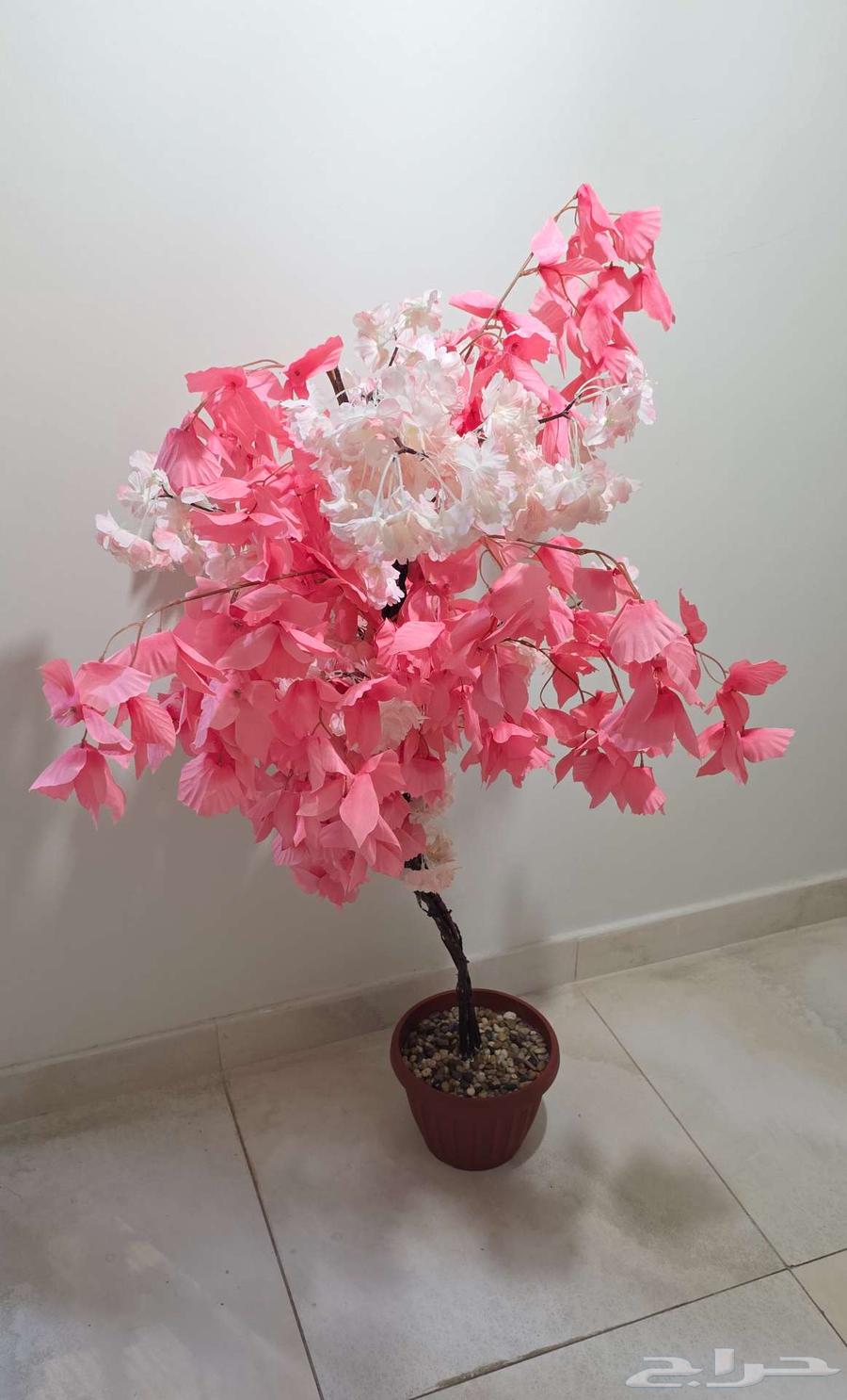 أشجار بخشب طبيعي عمل يدوي64496599315841110