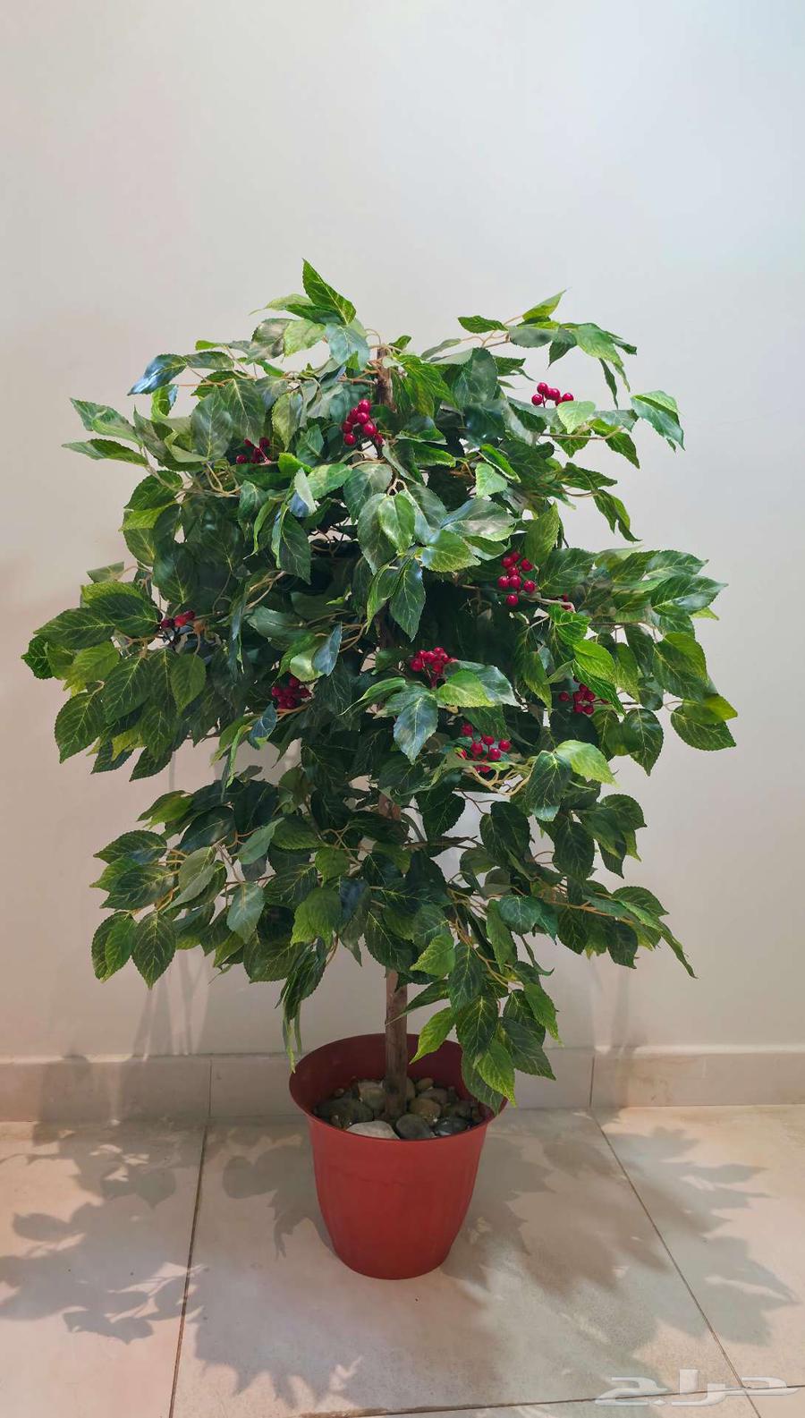 أشجار بخشب طبيعي عمل يدوي64496599315841111