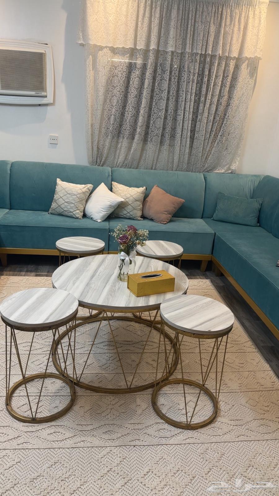 Clean sofa64499187500291110