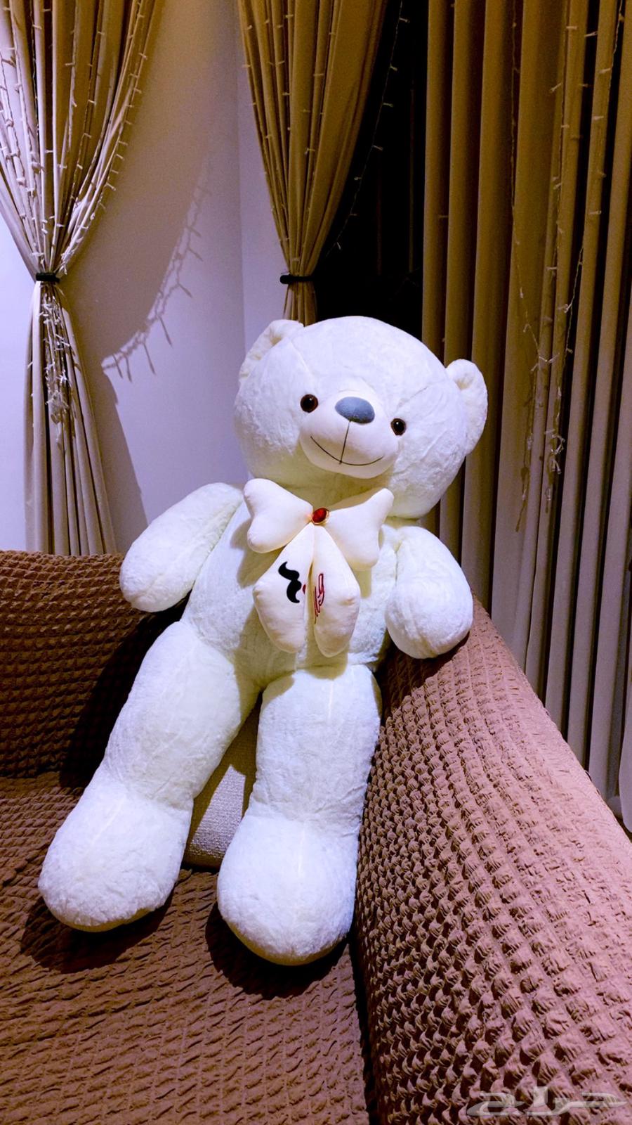 دب كبير جديد للبيع64501326356481110