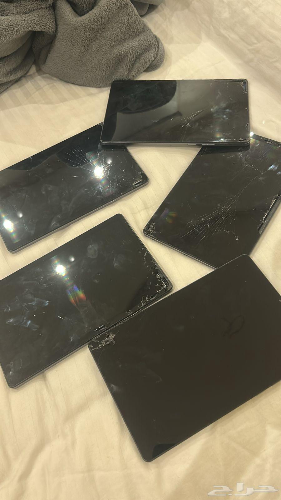 المدينة المنورة64496585282434110