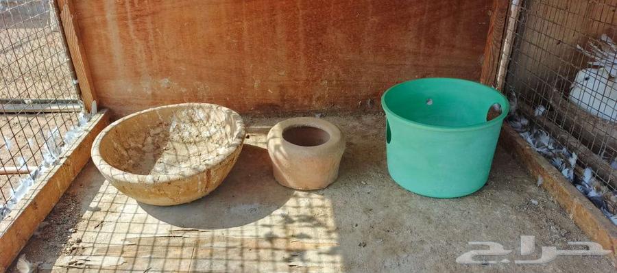 محاكر حمام مستعملة نظيفة للبيع64500408379393111