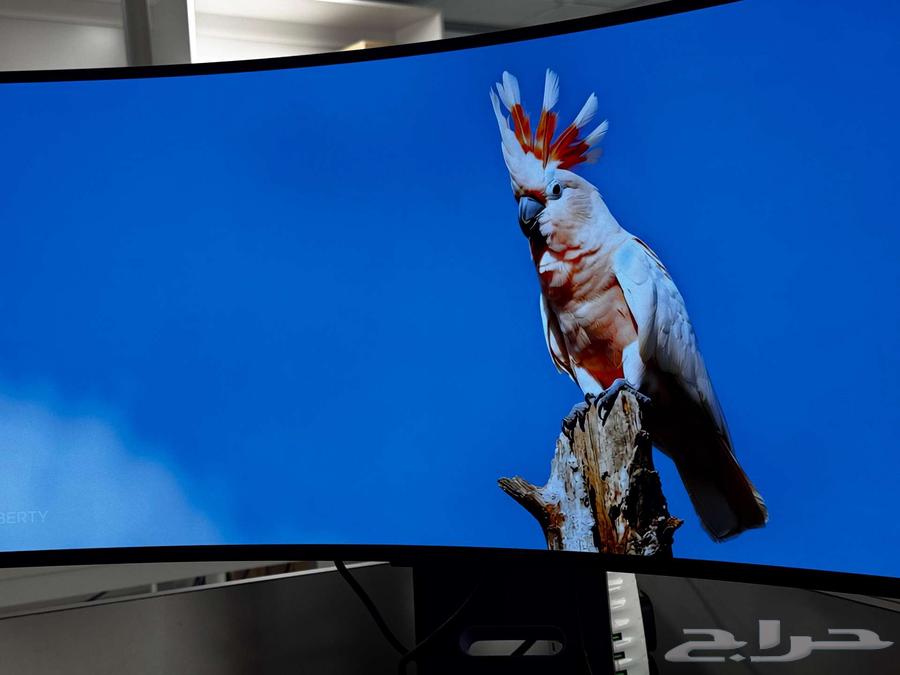 شاشة LG أوليد 4K بحجم 34 بوصة64497606601473111