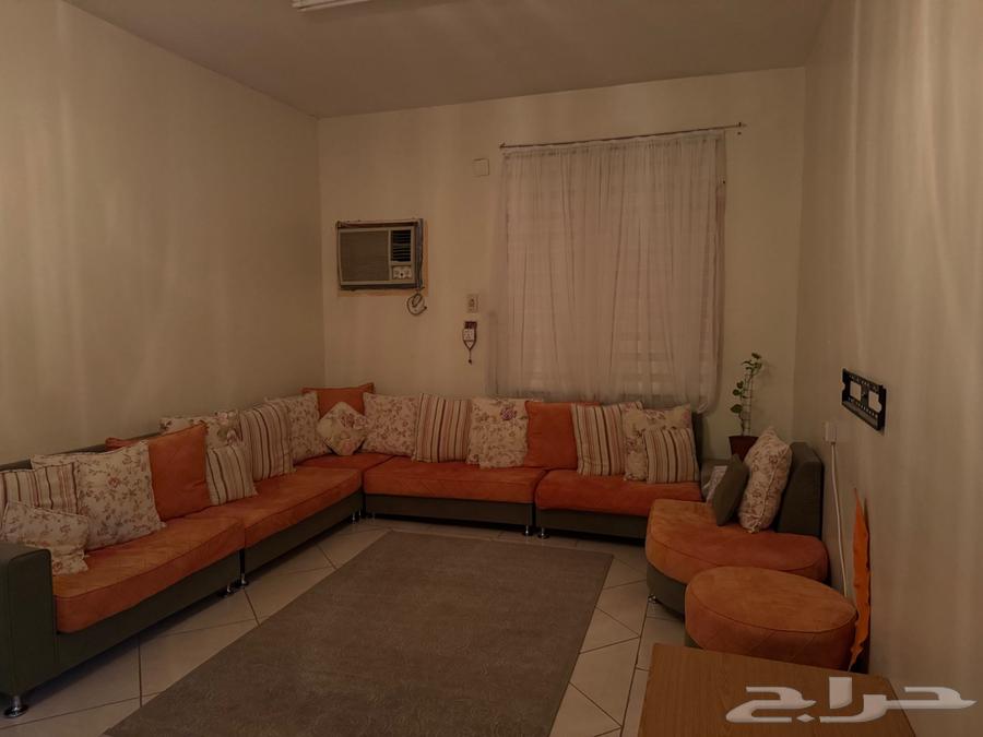 مجلس نظيف عدد 8 قطع 14 كوشن كبير 6 كوشن صغير64499076388994110