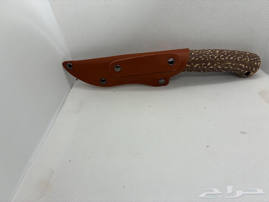 سكين شبيه القرن64497221015555111