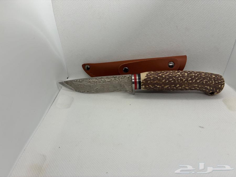 سكين شبيه القرن64497221015555110