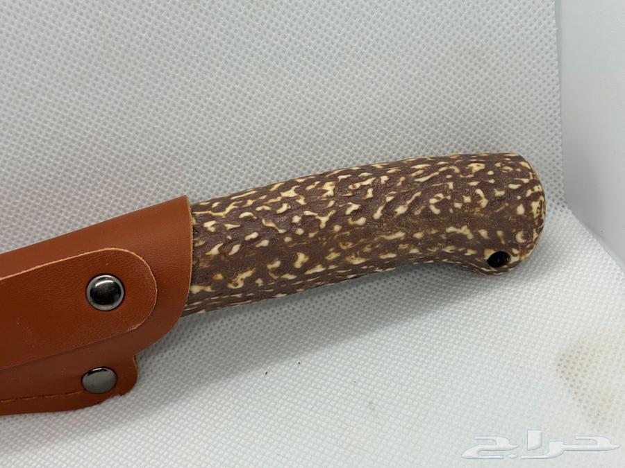 سكين شبيه القرن64497221015555112