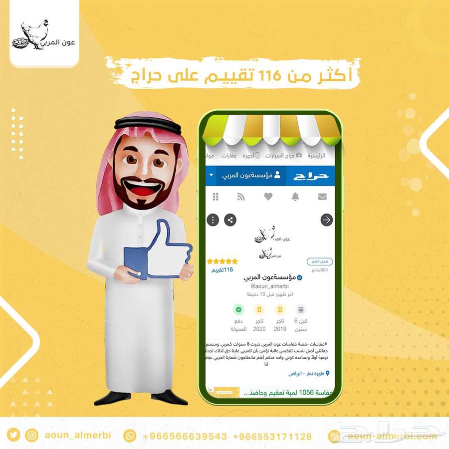 Pigeon Slaughtering Table with 12 Eyes64498382286977113