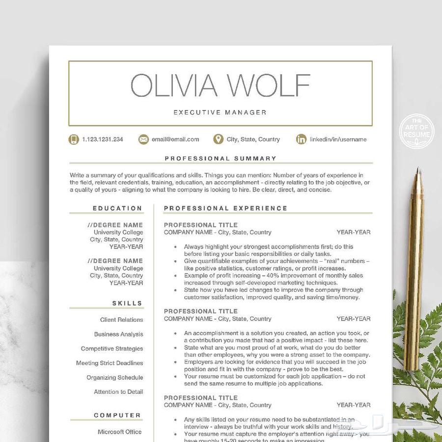 ATS-Compliant Resume (CV) at a Symbolic Price64485793168131110