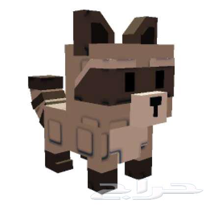 ماب المزرعه راكون64506021082497110