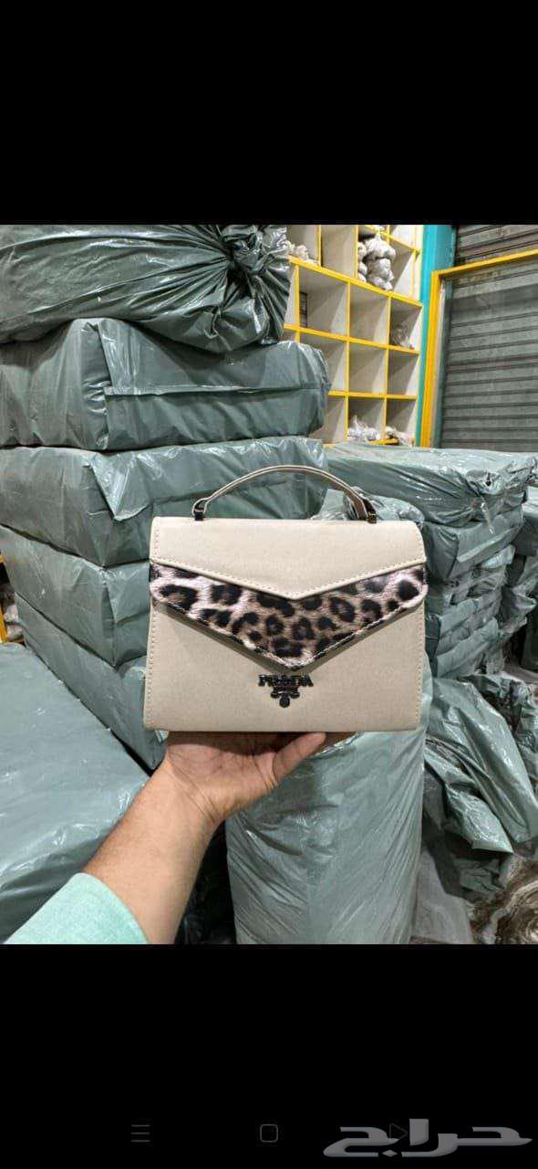 االخبر الشماليه السويكت64503623512835112