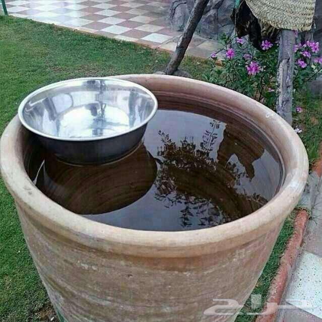 ظهران الجنوب64509490695810110