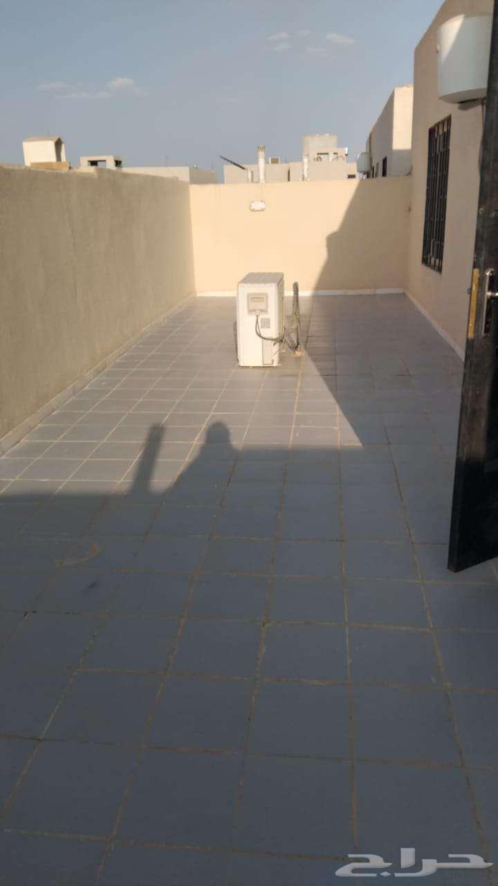 شقة للإيجار