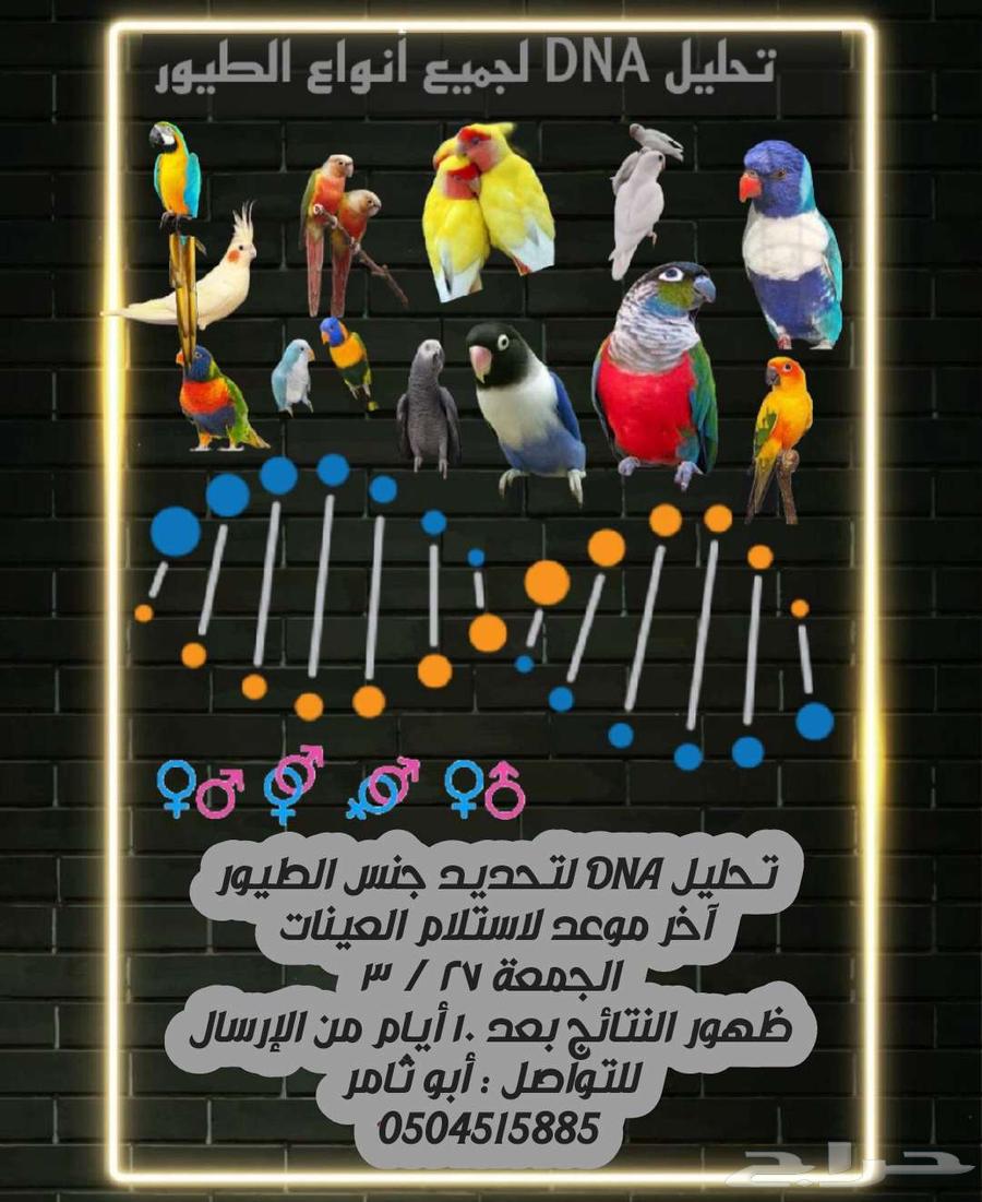 DNA Analysis for All Birds64509040940673110