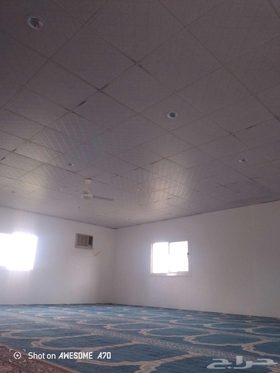 Building Painting in Khamis Mushait and Abha64148951087745112