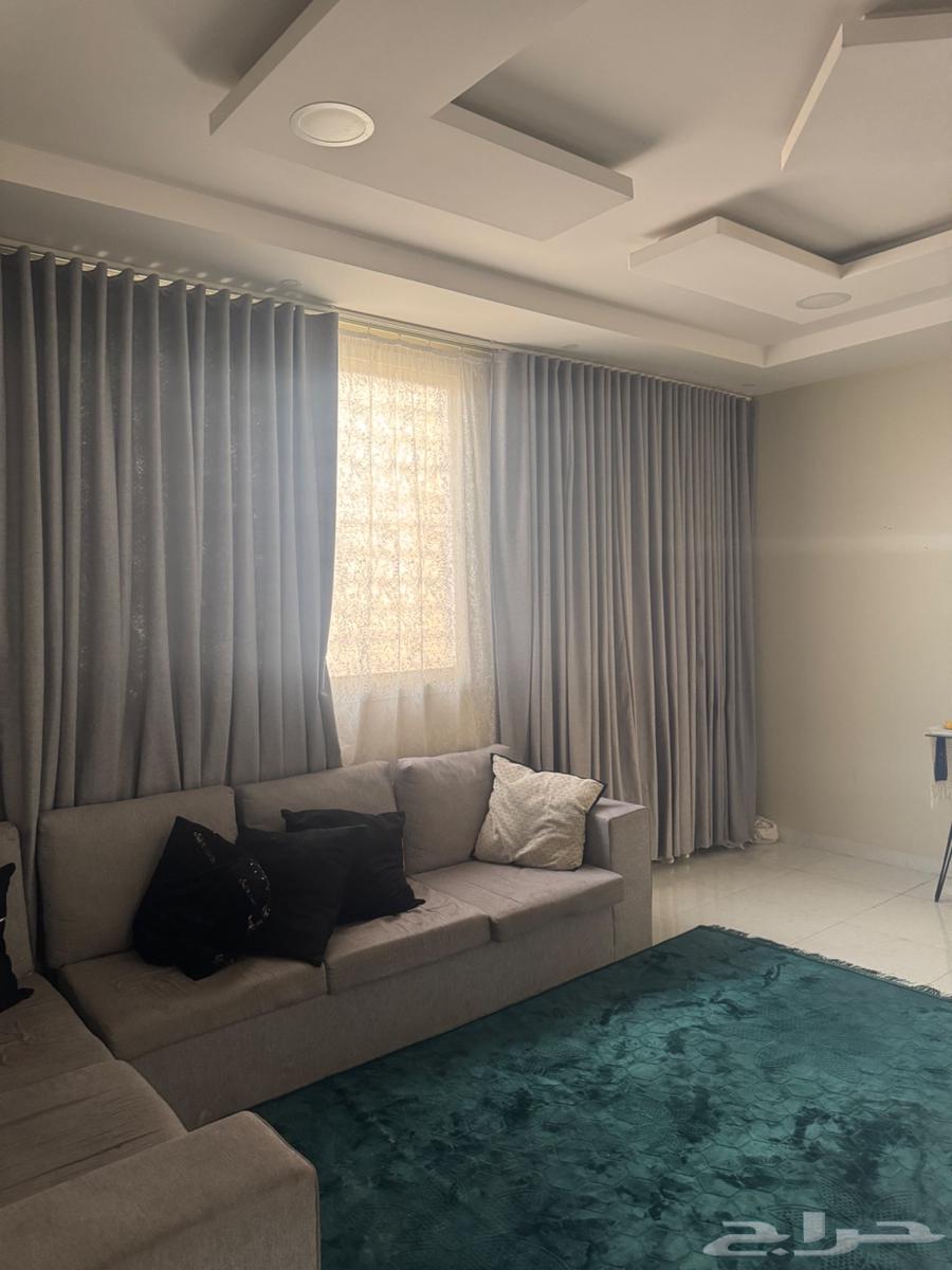 Sofa furniture with curtain and sofa with tables and carpet64507304867201111