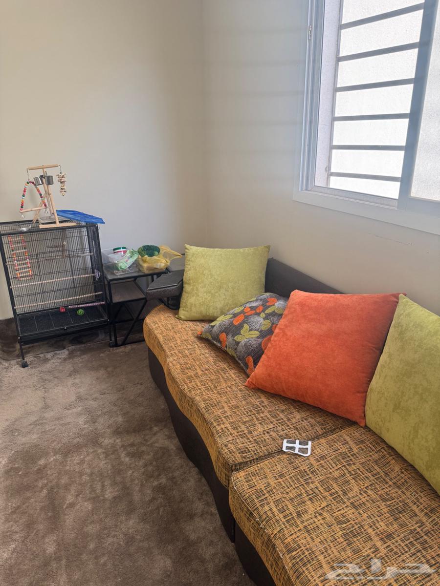 Sofa furniture with curtain and sofa with tables and carpet64507304867201113