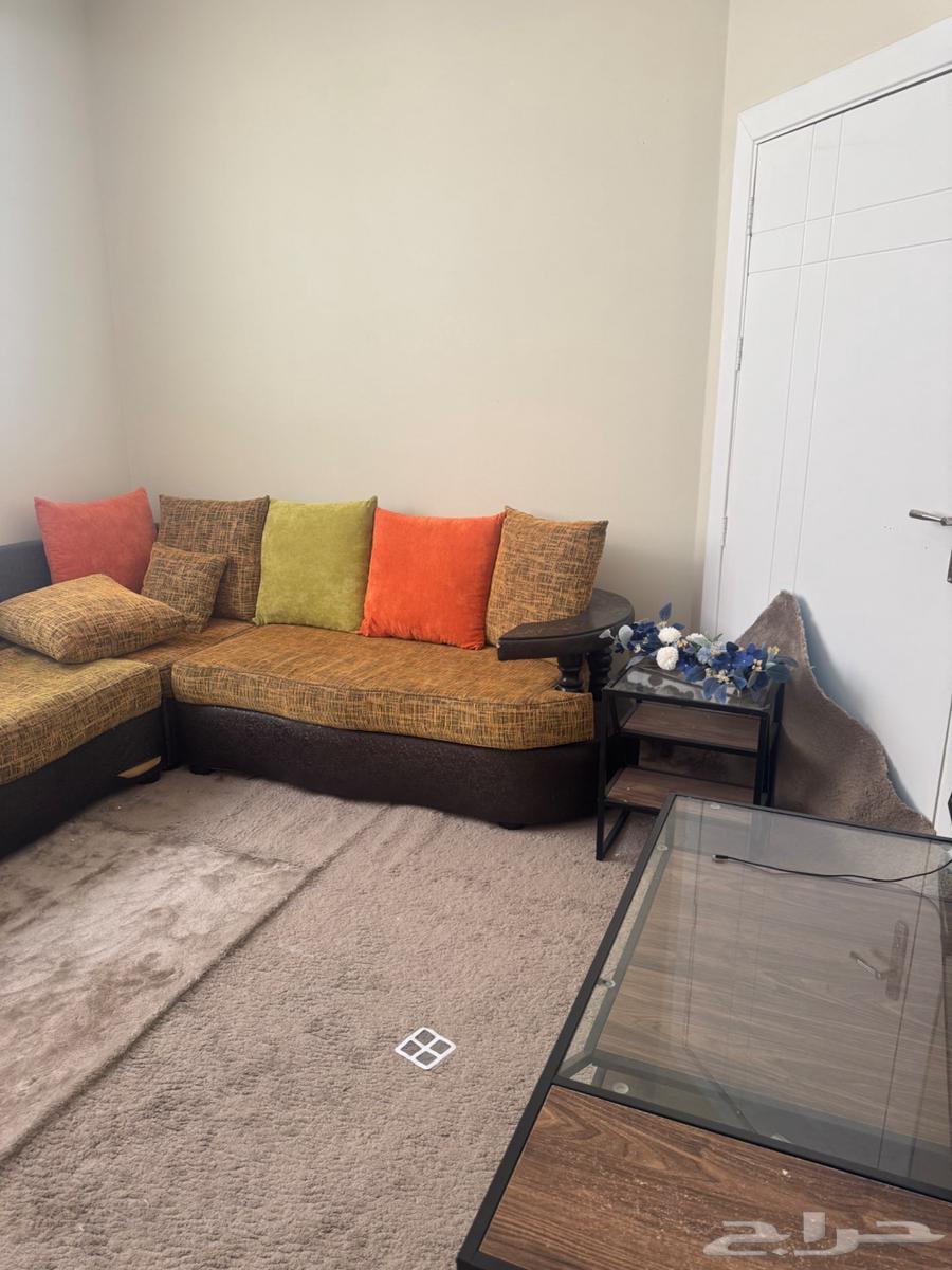 Sofa furniture with curtain and sofa with tables and carpet64507304867201112