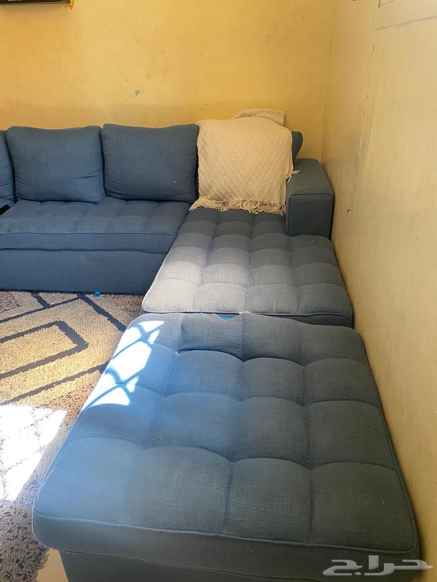 كنب حرف L64507710566913110