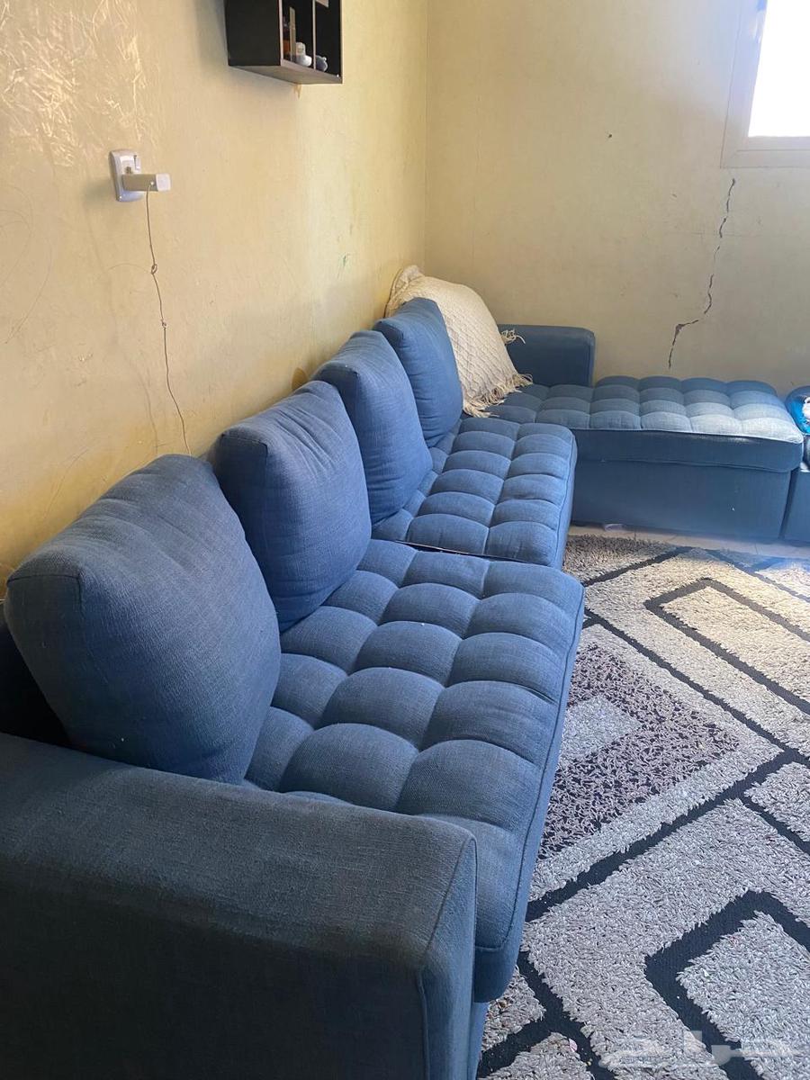 كنب حرف L64507710566913111