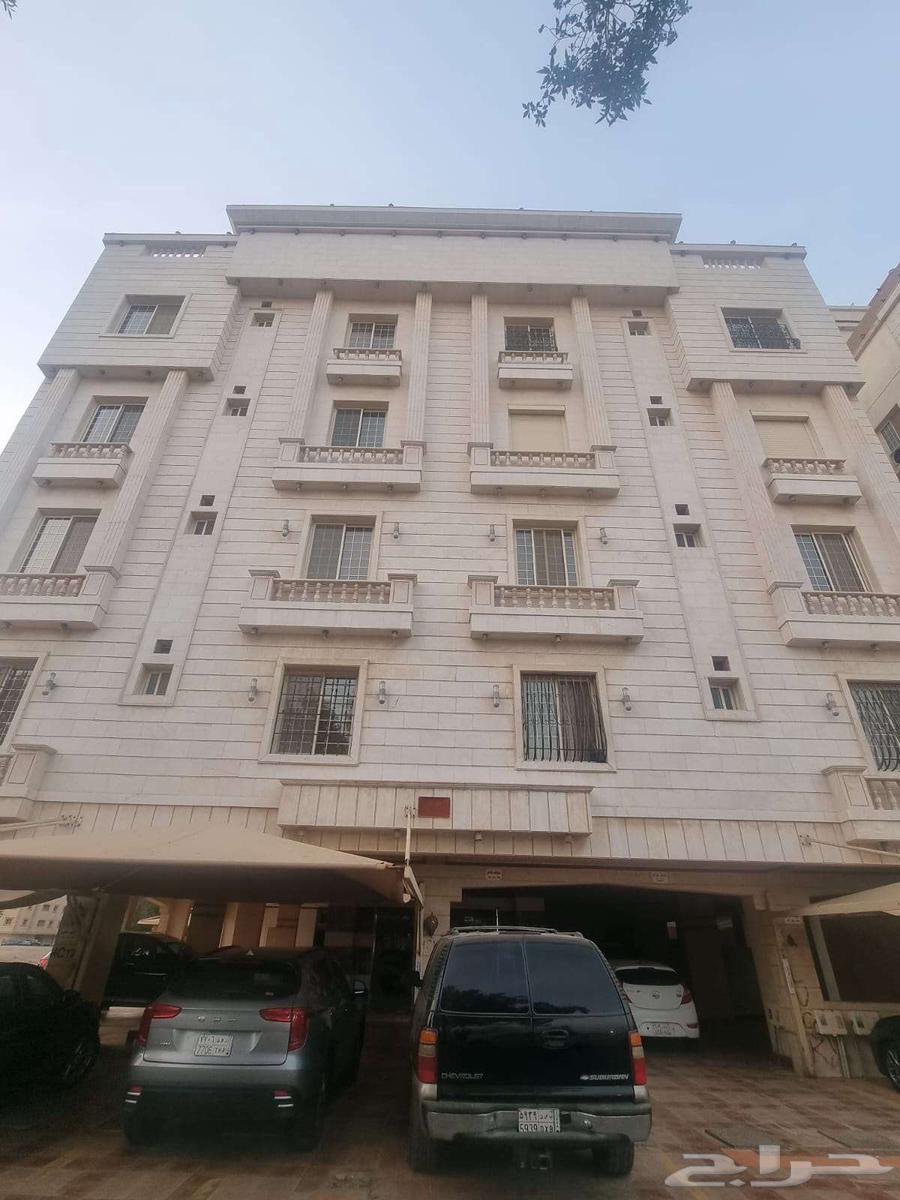 شقة للإيجار