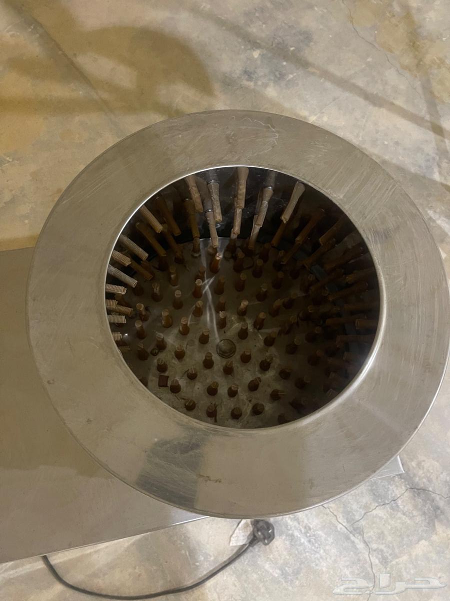 Pigeon and chicken feed64511043514881110