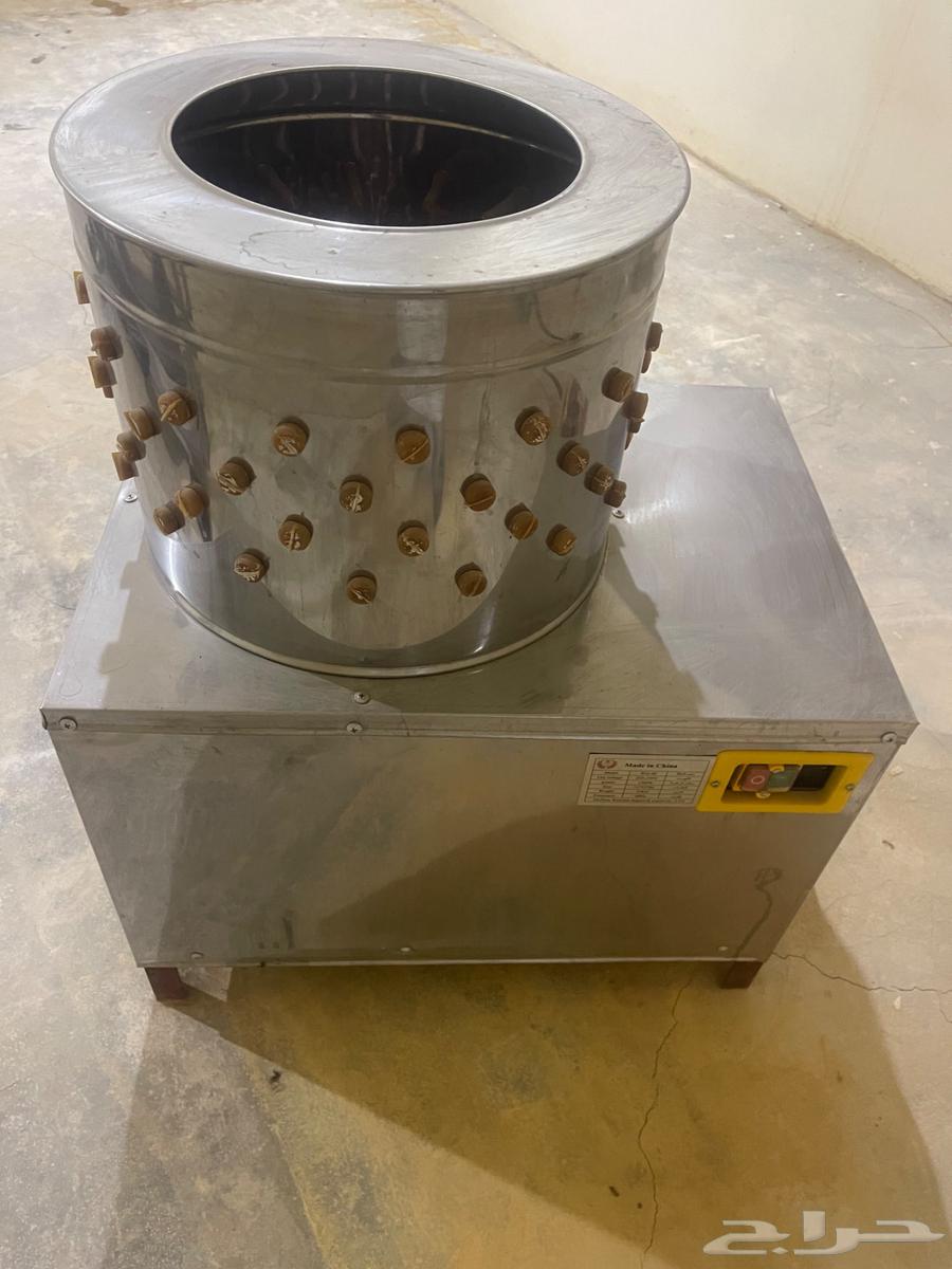 Pigeon and chicken feed64511043514881111