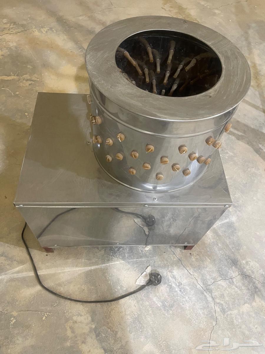 Pigeon and chicken feed64511043514881113