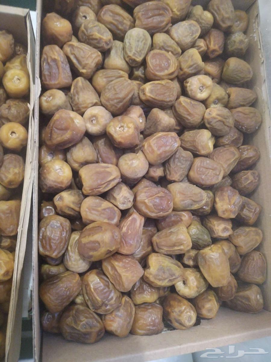 تمر سكري العام حبة وسط جملة الكرتون 30 ريال64504777646594111