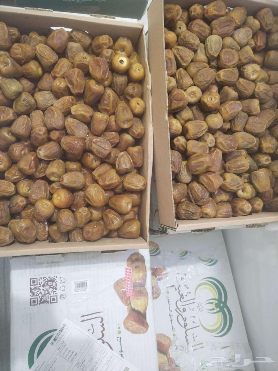 تمر سكري العام حبة وسط جملة الكرتون 30 ريال64504777646594112
