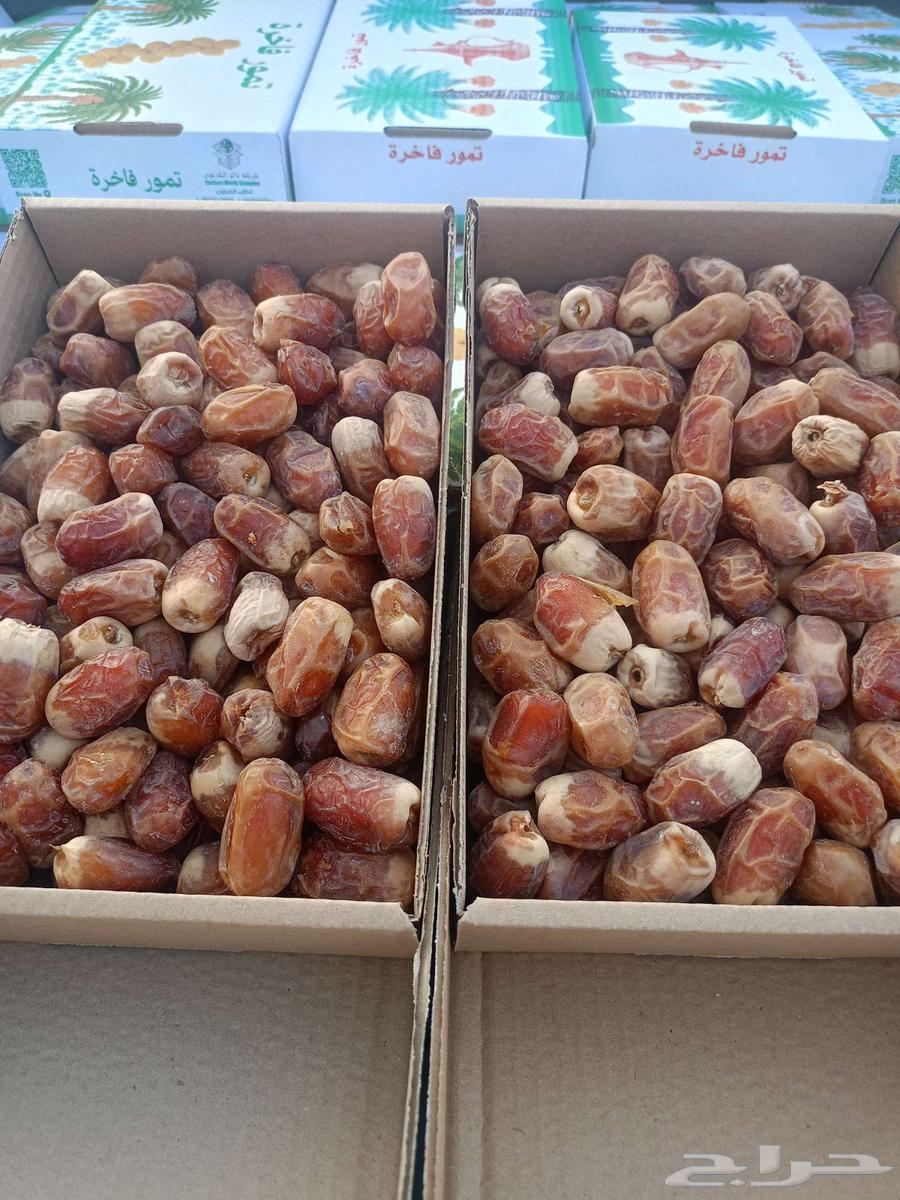للبيع تمر صقعي الكرتون تقريبا  كيلوين64505724298371110