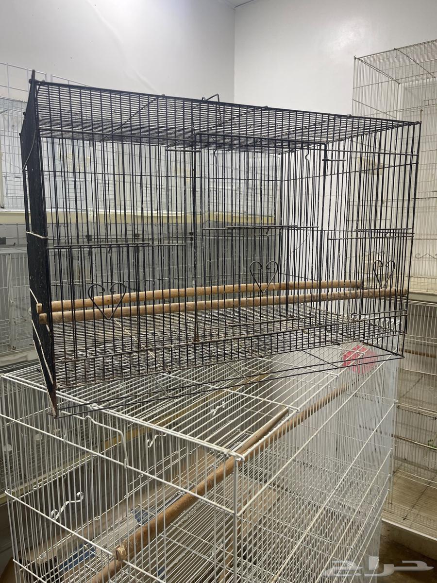 اقفاص للبيع العدد1064505688896131110